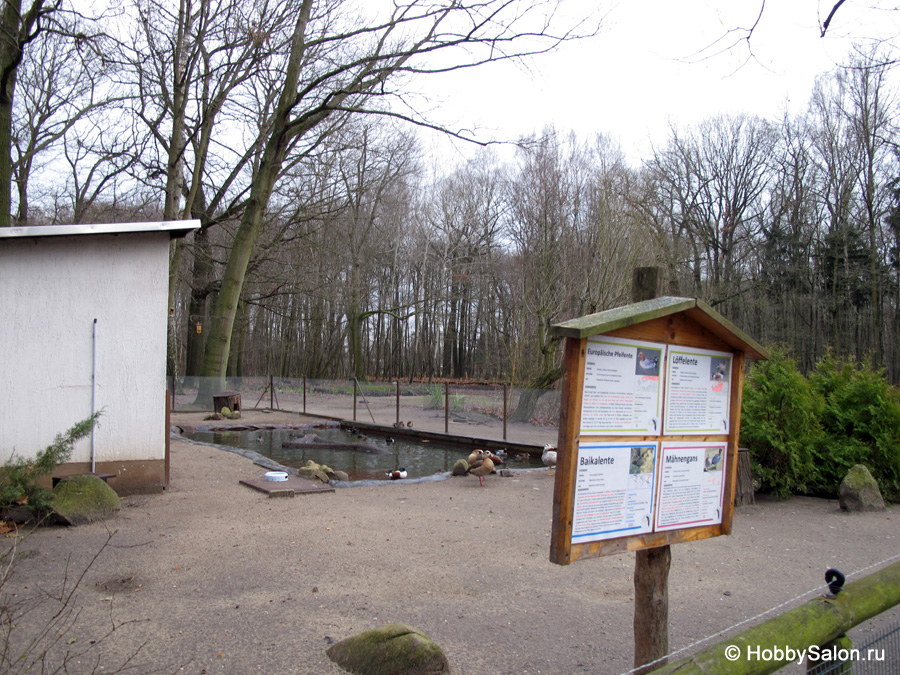 Парк животных города Финстервальде