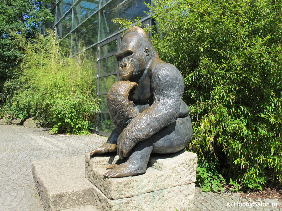 Зоопарк Хеллабрунн в Мюнхене