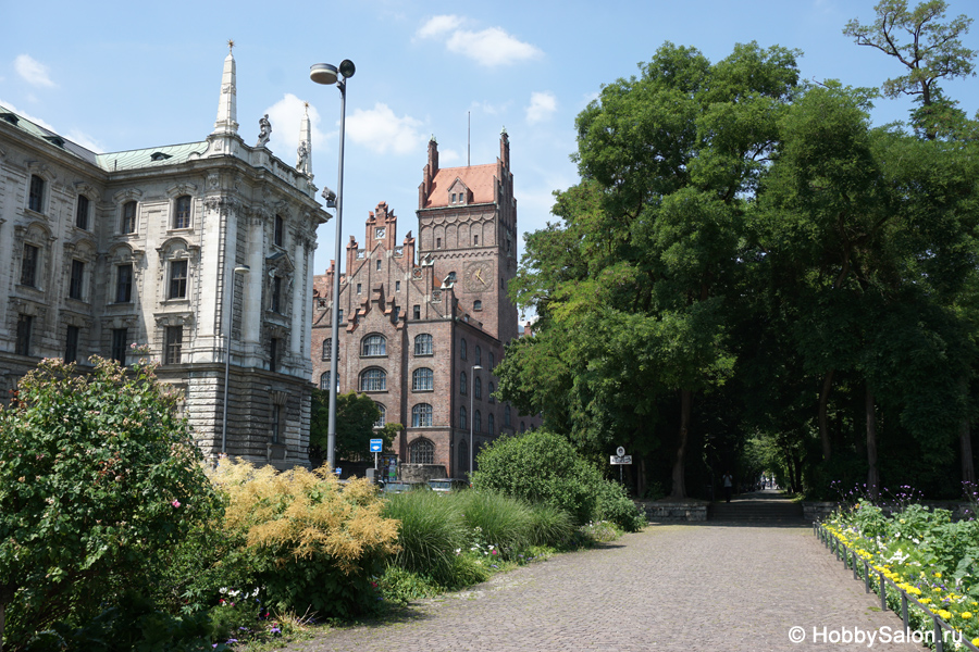 Старый ботанический сад