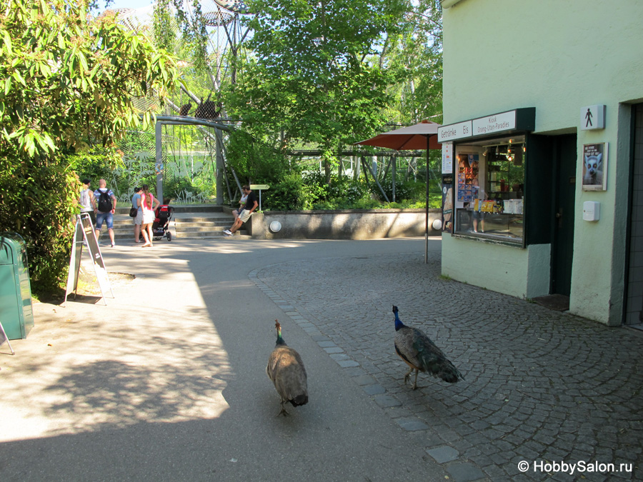Зоопарк Хеллабрунн в Мюнхене