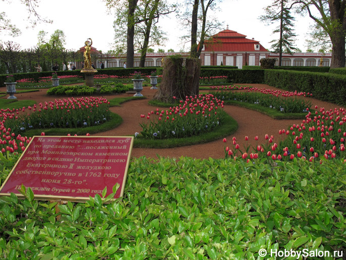 Петергоф, или Петродворец