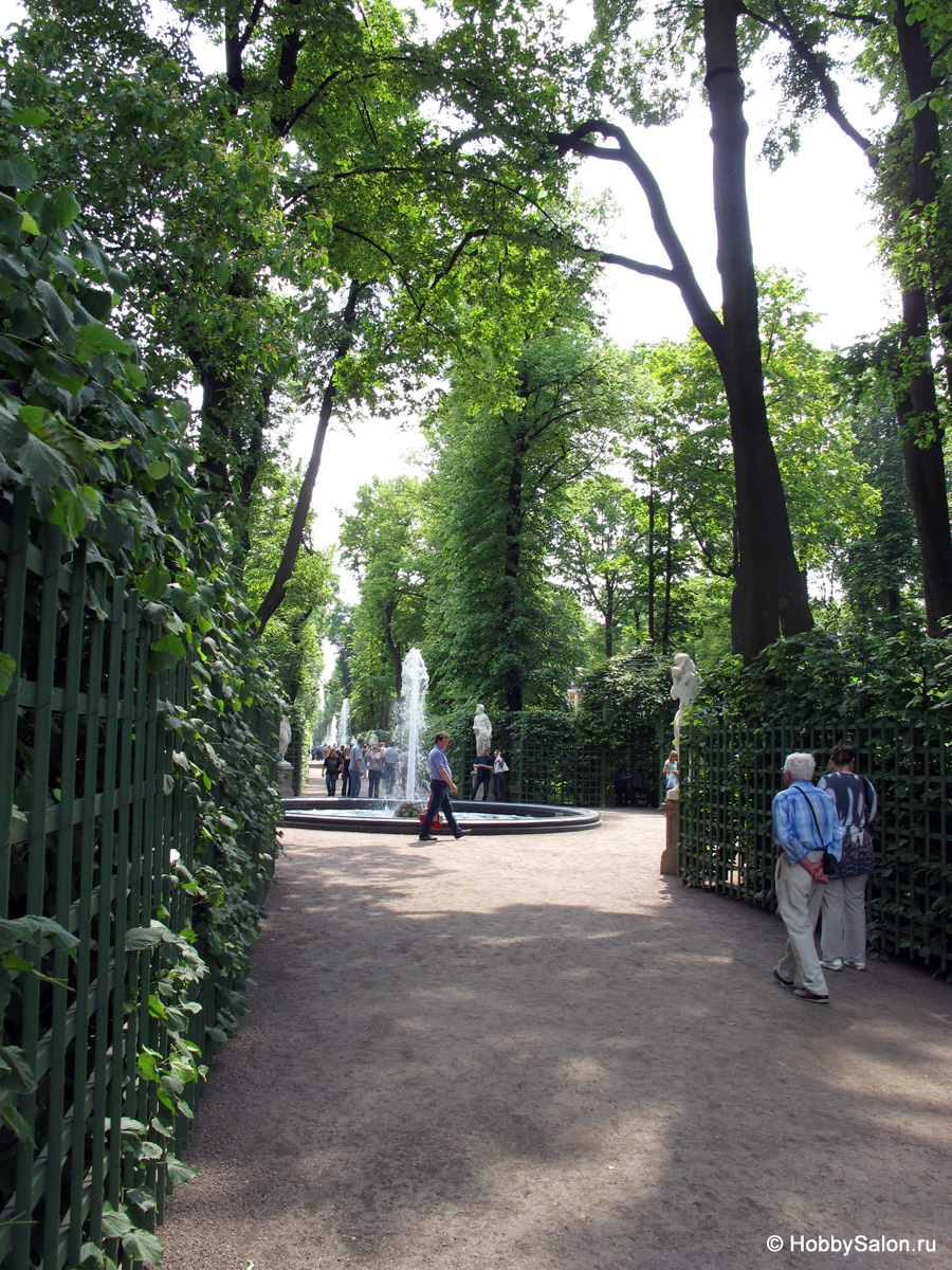 Летний сад в Санкт-Петербурге