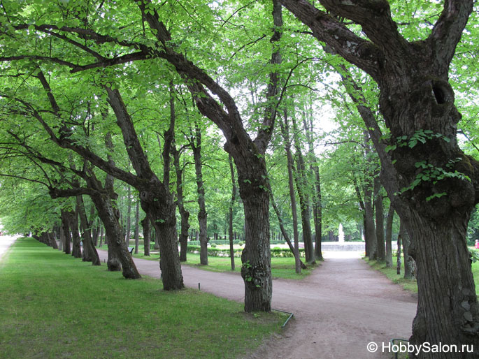 Павловский парк